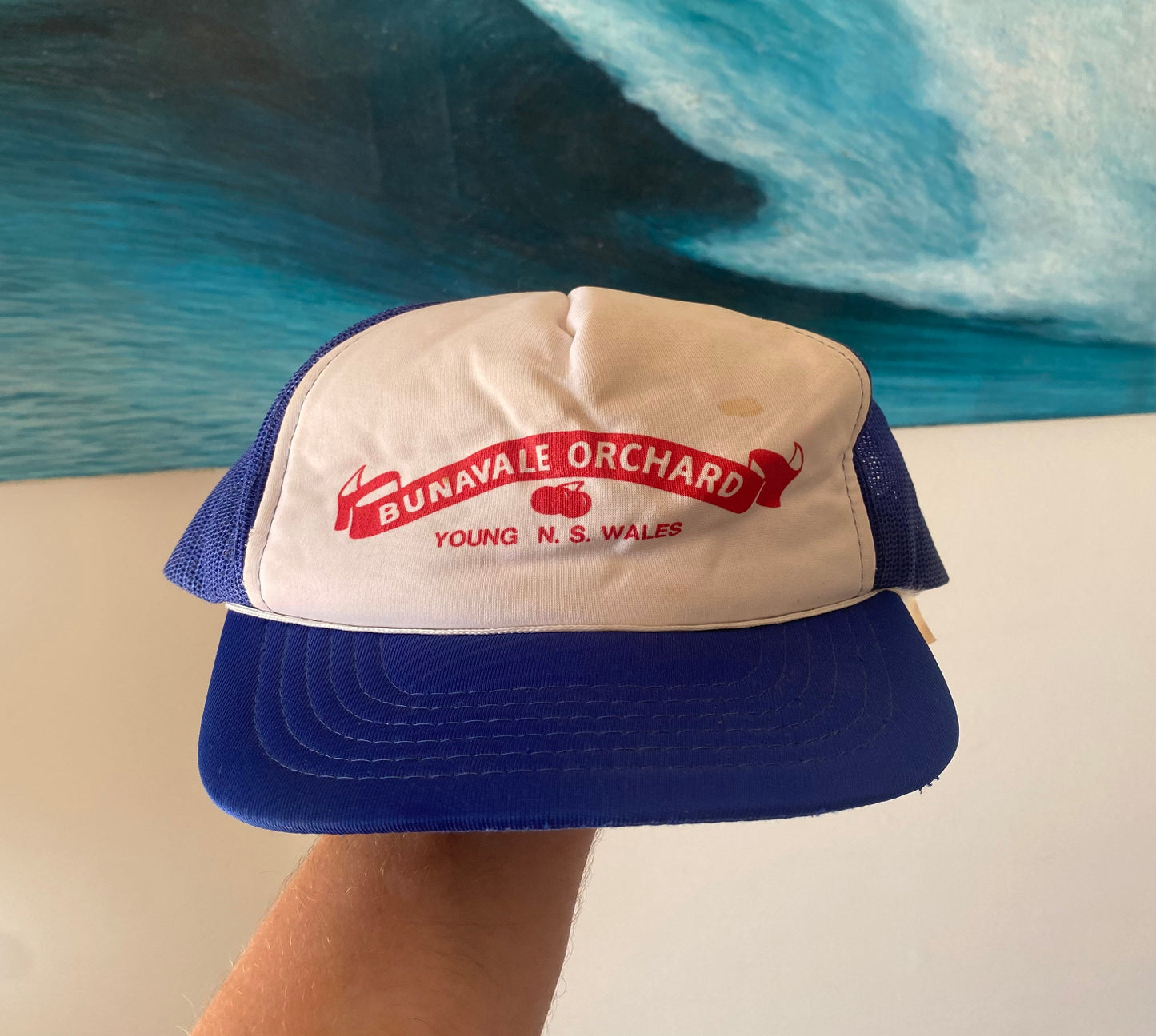 Vintage Trucker Hat